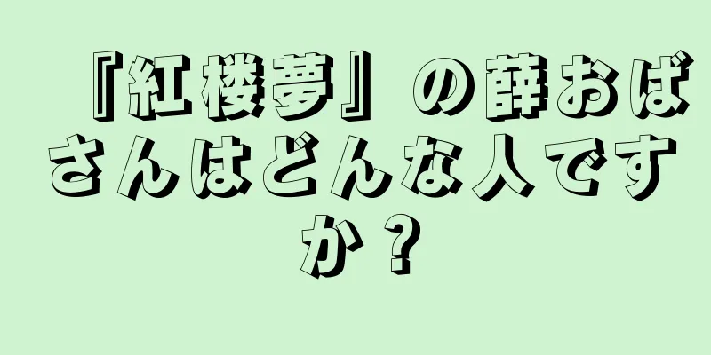 『紅楼夢』の薛おばさんはどんな人ですか？