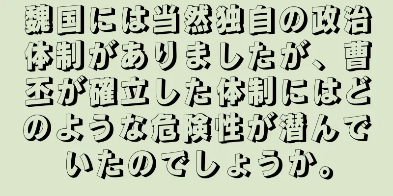 魏国には当然独自の政治体制がありましたが、曹丕が確立した体制にはどのような危険性が潜んでいたのでしょうか。