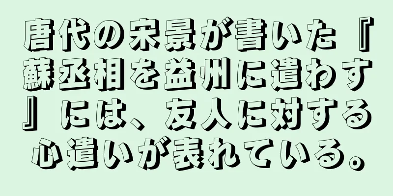 唐代の宋景が書いた『蘇丞相を益州に遣わす』には、友人に対する心遣いが表れている。