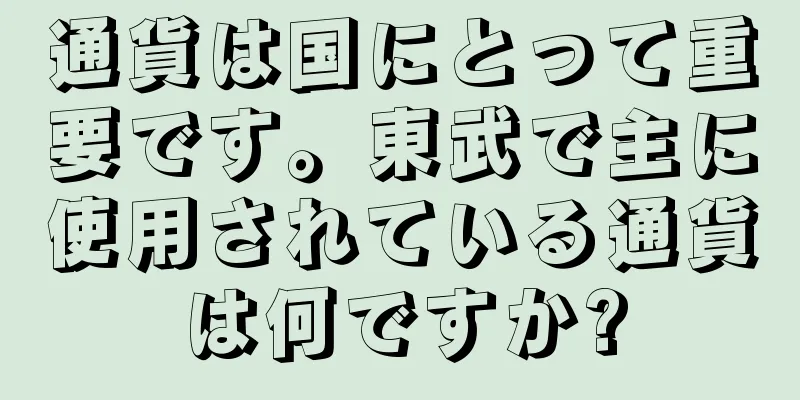 通貨は国にとって重要です。東武で主に使用されている通貨は何ですか?