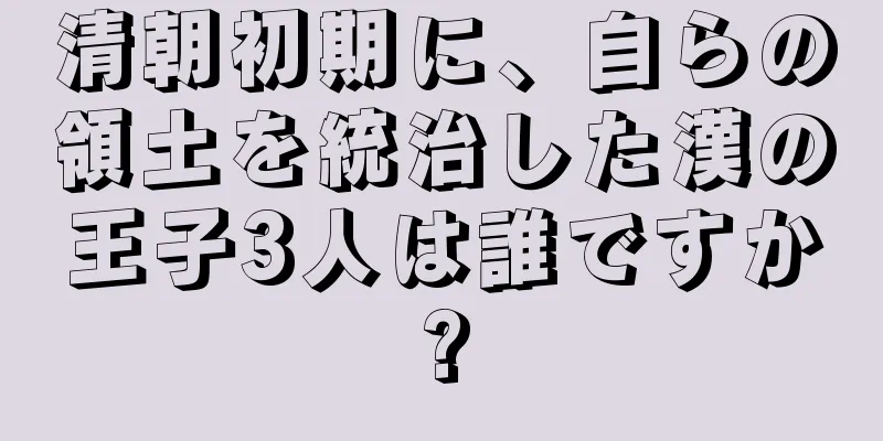 清朝初期に、自らの領土を統治した漢の王子3人は誰ですか?