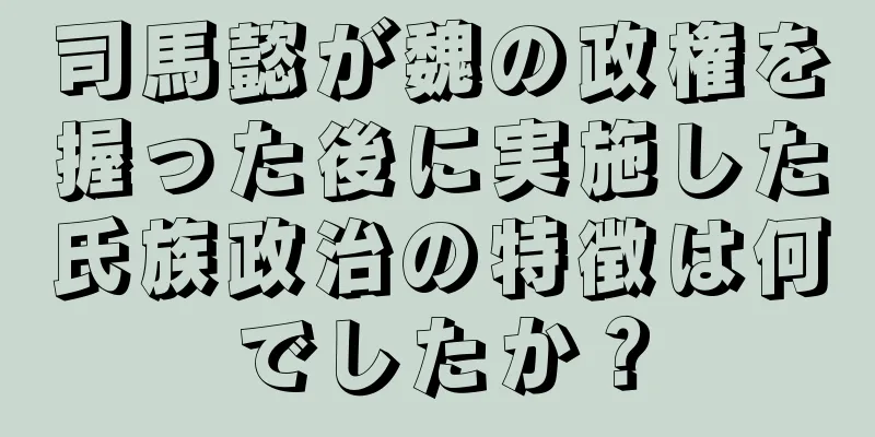 司馬懿が魏の政権を握った後に実施した氏族政治の特徴は何でしたか？