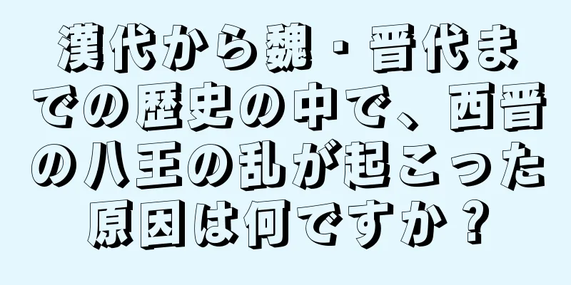 漢代から魏・晋代までの歴史の中で、西晋の八王の乱が起こった原因は何ですか？