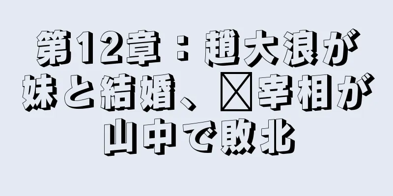 第12章：趙大浪が妹と結婚、龐宰相が山中で敗北