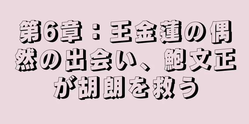 第6章：王金蓮の偶然の出会い、鮑文正が胡朗を救う