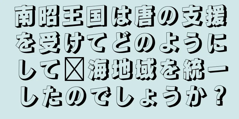 南昭王国は唐の支援を受けてどのようにして洱海地域を統一したのでしょうか？