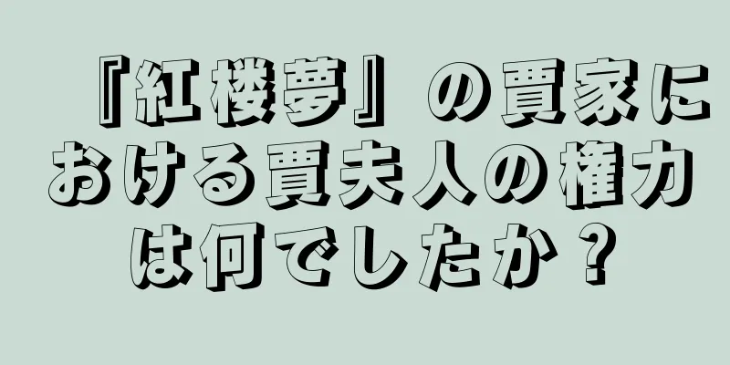 『紅楼夢』の賈家における賈夫人の権力は何でしたか？