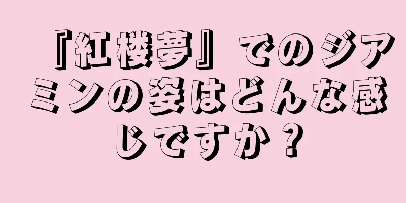 『紅楼夢』でのジアミンの姿はどんな感じですか？