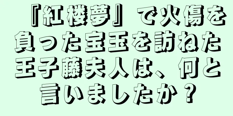 『紅楼夢』で火傷を負った宝玉を訪ねた王子藤夫人は、何と言いましたか？