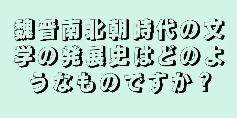 魏晋南北朝時代の文学の発展史はどのようなものですか？