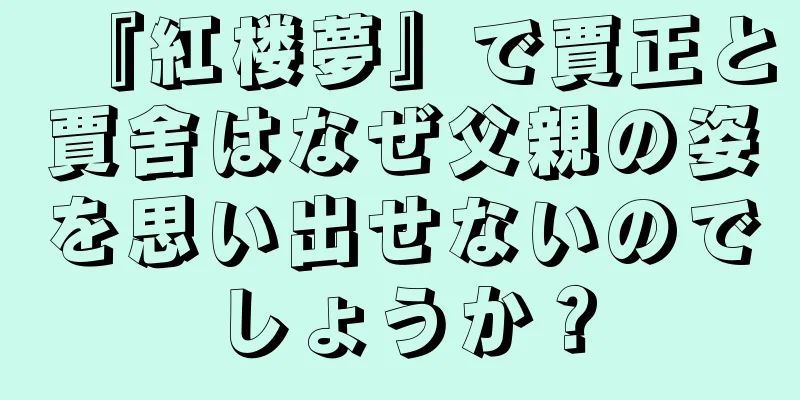 『紅楼夢』で賈正と賈舍はなぜ父親の姿を思い出せないのでしょうか？