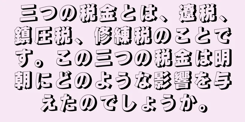 三つの税金とは、遼税、鎮圧税、修練税のことです。この三つの税金は明朝にどのような影響を与えたのでしょうか。