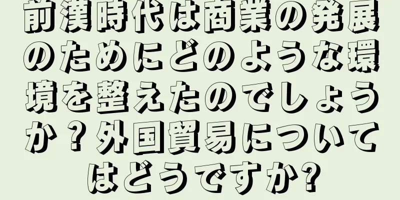 前漢時代は商業の発展のためにどのような環境を整えたのでしょうか？外国貿易についてはどうですか?