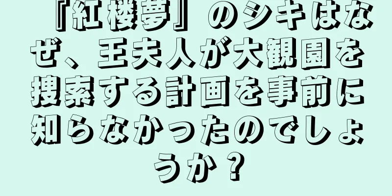 『紅楼夢』のシキはなぜ、王夫人が大観園を捜索する計画を事前に知らなかったのでしょうか？
