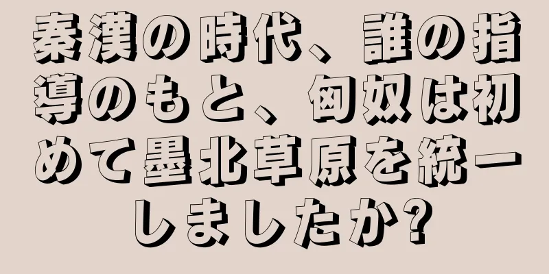 秦漢の時代、誰の指導のもと、匈奴は初めて墨北草原を統一しましたか?
