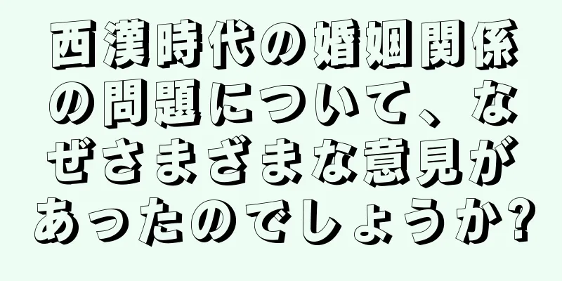 西漢時代の婚姻関係の問題について、なぜさまざまな意見があったのでしょうか?