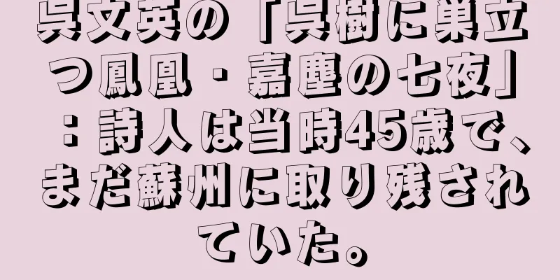 呉文英の「呉樹に巣立つ鳳凰・嘉塵の七夜」：詩人は当時45歳で、まだ蘇州に取り残されていた。
