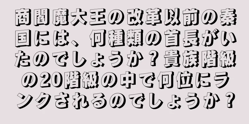 商閻魔大王の改革以前の秦国には、何種類の首長がいたのでしょうか？貴族階級の20階級の中で何位にランクされるのでしょうか？