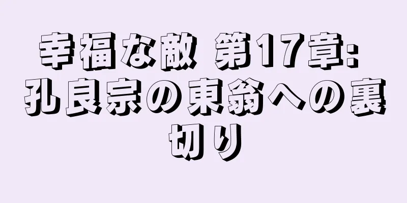 幸福な敵 第17章: 孔良宗の東翁への裏切り