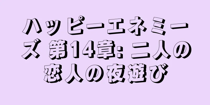 ハッピーエネミーズ 第14章: 二人の恋人の夜遊び