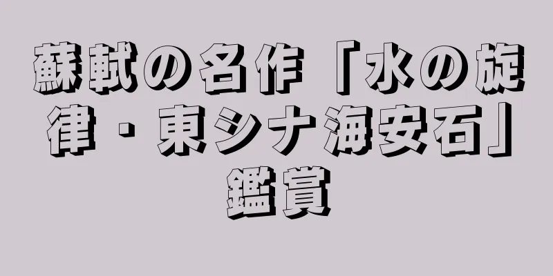 蘇軾の名作「水の旋律・東シナ海安石」鑑賞