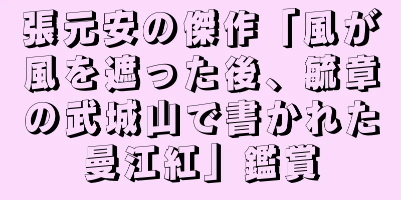 張元安の傑作「風が風を遮った後、毓章の武城山で書かれた曼江紅」鑑賞