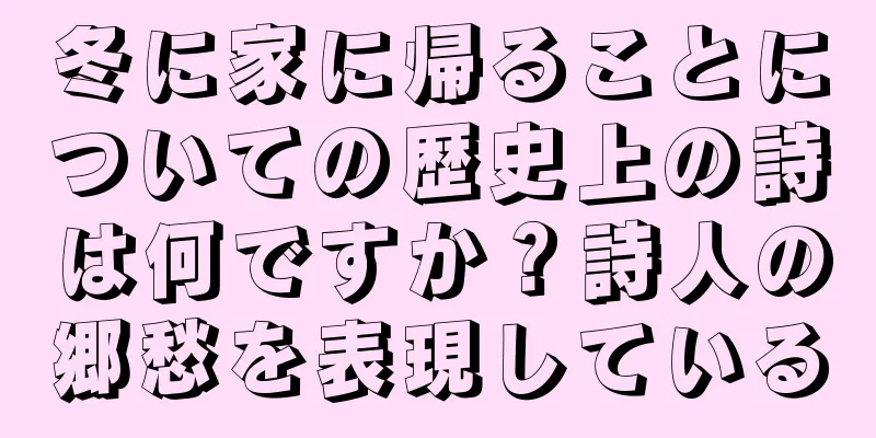 冬に家に帰ることについての歴史上の詩は何ですか？詩人の郷愁を表現している