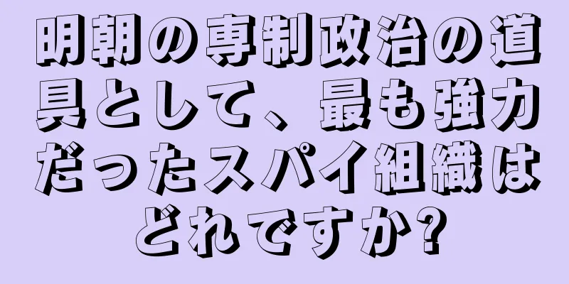 明朝の専制政治の道具として、最も強力だったスパイ組織はどれですか?