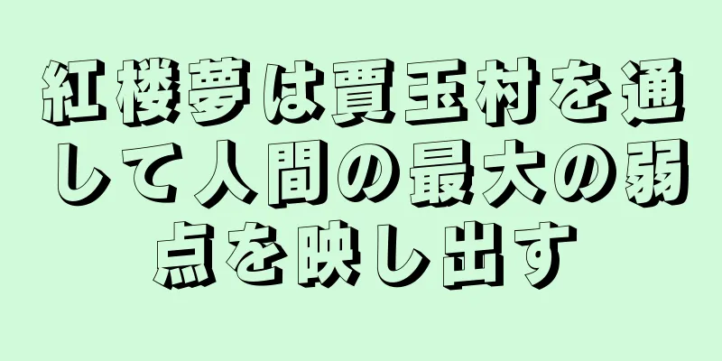 紅楼夢は賈玉村を通して人間の最大の弱点を映し出す