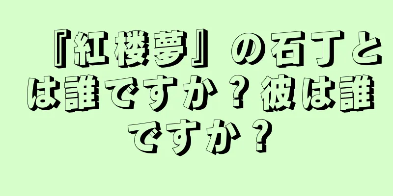 『紅楼夢』の石丁とは誰ですか？彼は誰ですか？