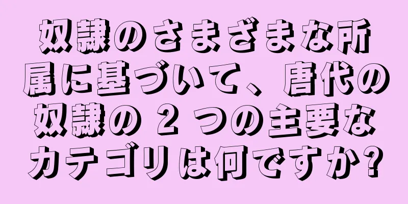 奴隷のさまざまな所属に基づいて、唐代の奴隷の 2 つの主要なカテゴリは何ですか?