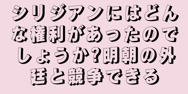 シリジアンにはどんな権利があったのでしょうか?明朝の外廷と競争できる