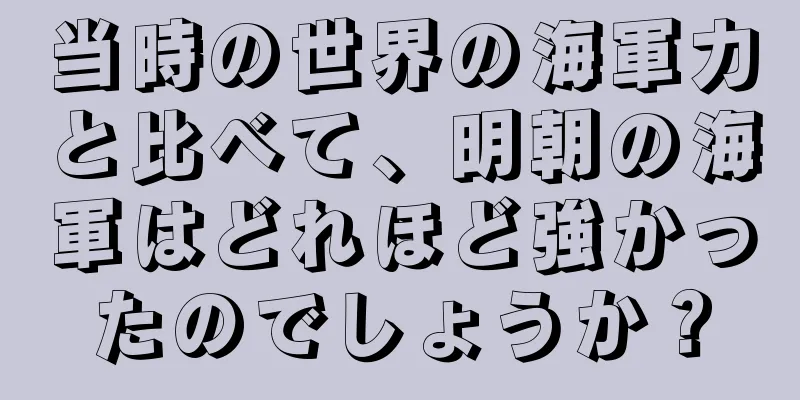 当時の世界の海軍力と比べて、明朝の海軍はどれほど強かったのでしょうか？