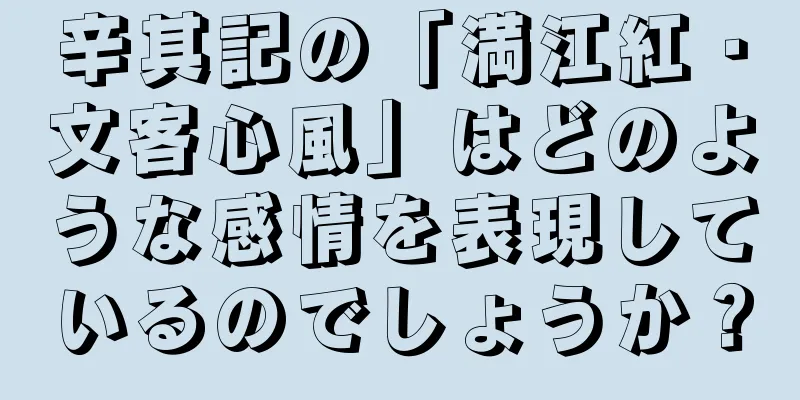 辛其記の「満江紅・文客心風」はどのような感情を表現しているのでしょうか？