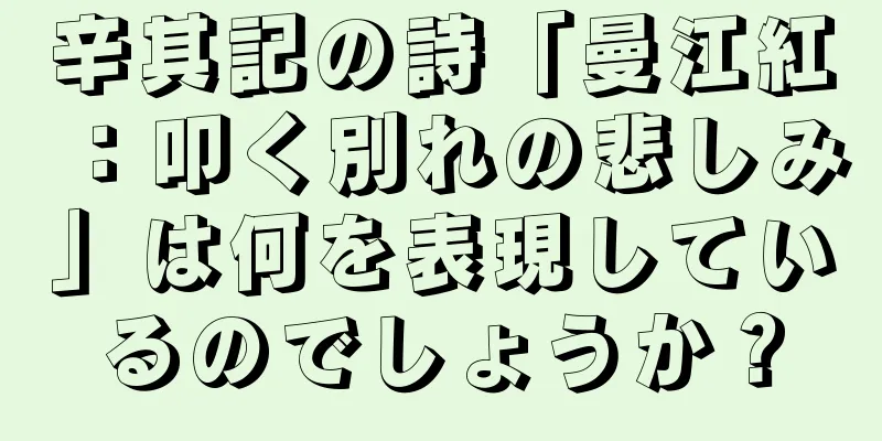 辛其記の詩「曼江紅：叩く別れの悲しみ」は何を表現しているのでしょうか？