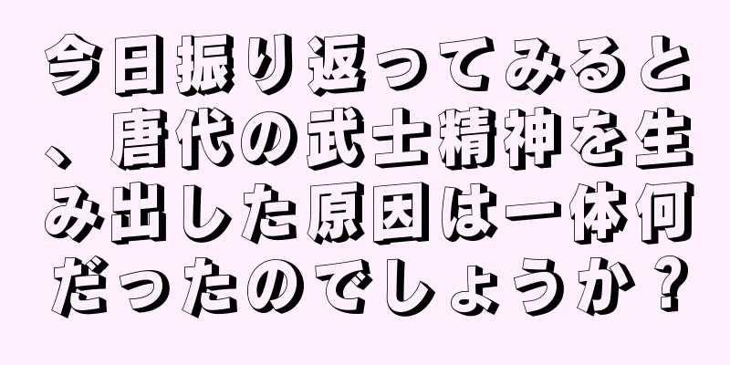 今日振り返ってみると、唐代の武士精神を生み出した原因は一体何だったのでしょうか？
