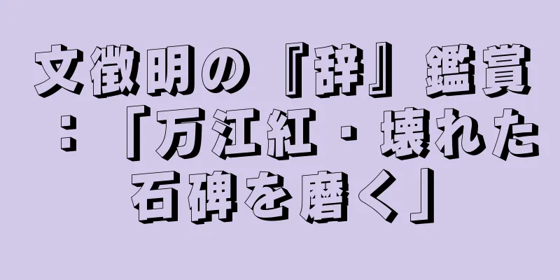 文徴明の『辞』鑑賞：「万江紅・壊れた石碑を磨く」