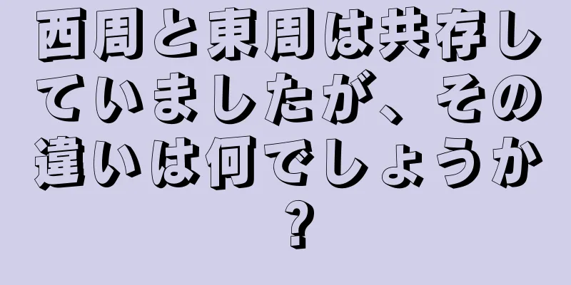 西周と東周は共存していましたが、その違いは何でしょうか？