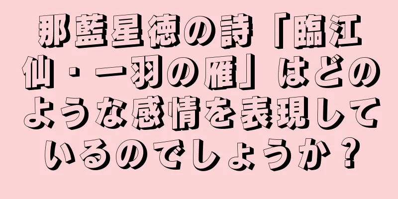 那藍星徳の詩「臨江仙・一羽の雁」はどのような感情を表現しているのでしょうか？
