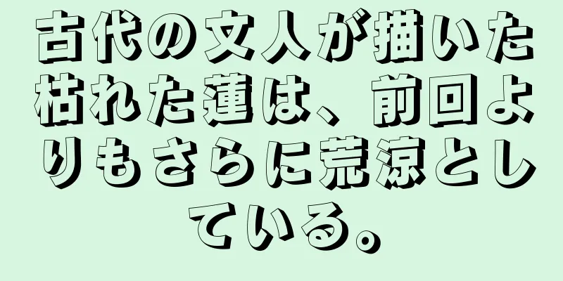 古代の文人が描いた枯れた蓮は、前回よりもさらに荒涼としている。