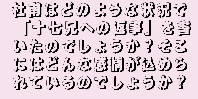 杜甫はどのような状況で「十七兄への返事」を書いたのでしょうか？そこにはどんな感情が込められているのでしょうか？