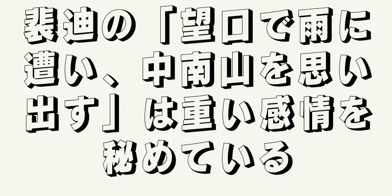 裴迪の「望口で雨に遭い、中南山を思い出す」は重い感情を秘めている
