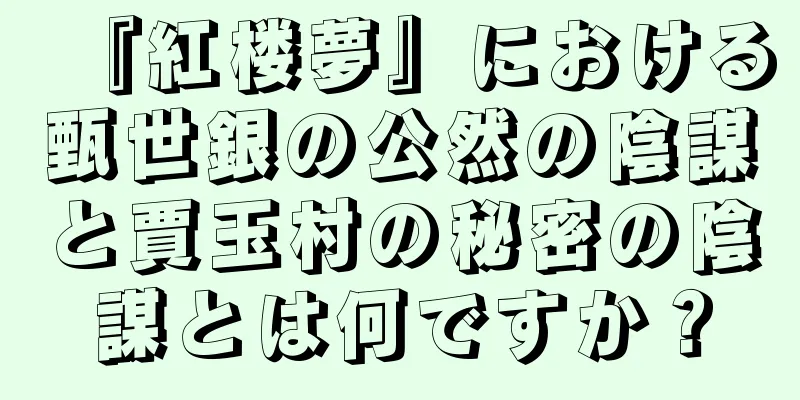 『紅楼夢』における甄世銀の公然の陰謀と賈玉村の秘密の陰謀とは何ですか？