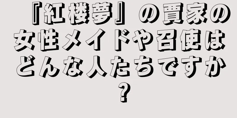 『紅楼夢』の賈家の女性メイドや召使はどんな人たちですか？