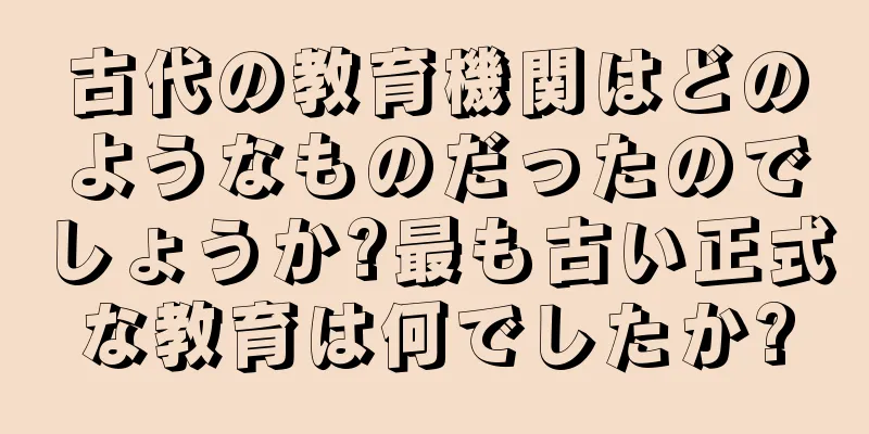 古代の教育機関はどのようなものだったのでしょうか?最も古い正式な教育は何でしたか?