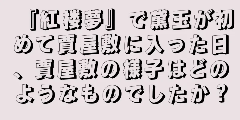 『紅楼夢』で黛玉が初めて賈屋敷に入った日、賈屋敷の様子はどのようなものでしたか？