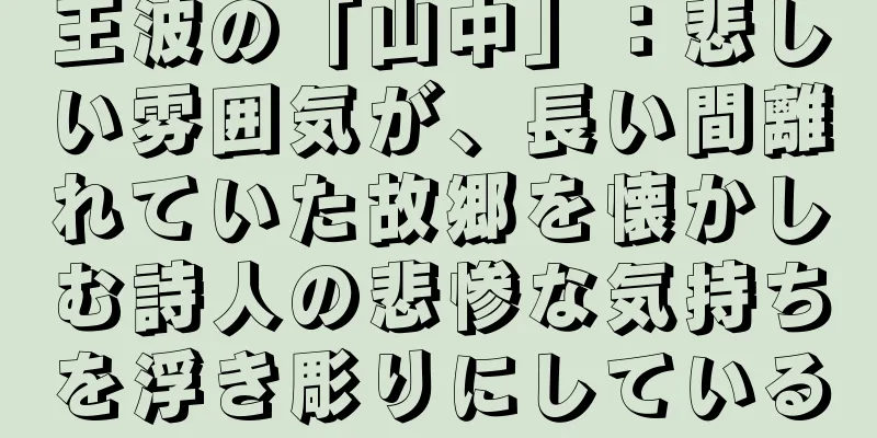 王波の「山中」：悲しい雰囲気が、長い間離れていた故郷を懐かしむ詩人の悲惨な気持ちを浮き彫りにしている