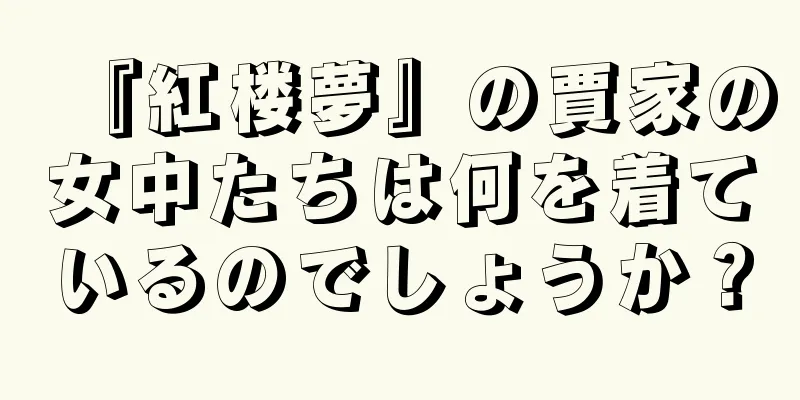 『紅楼夢』の賈家の女中たちは何を着ているのでしょうか？