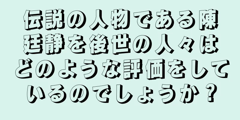 伝説の人物である陳廷静を後世の人々はどのような評価をしているのでしょうか？