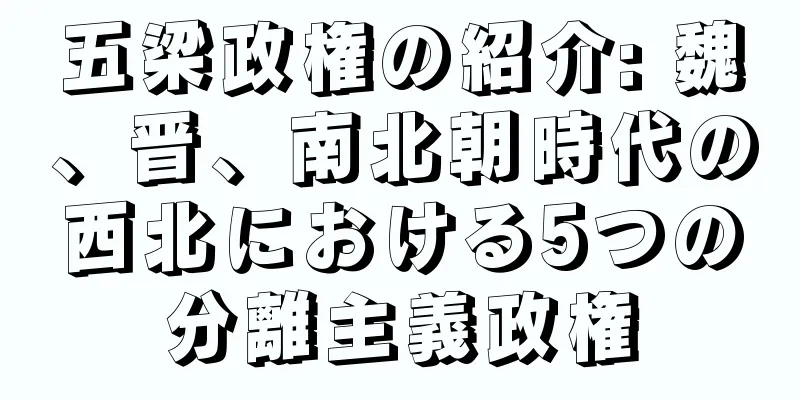 五梁政権の紹介: 魏、晋、南北朝時代の西北における5つの分離主義政権